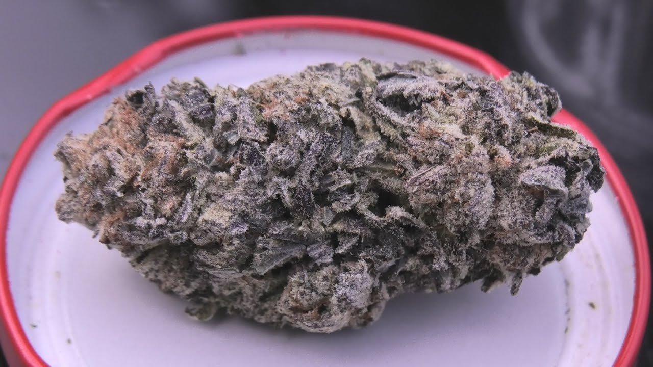 Slurricane Marijuana Monday