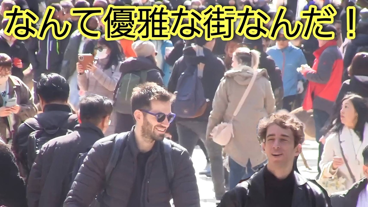 なんて優雅な街なんだ！外国人観光客が奈良の世界遺産と鹿のセットに笑いが止まらない