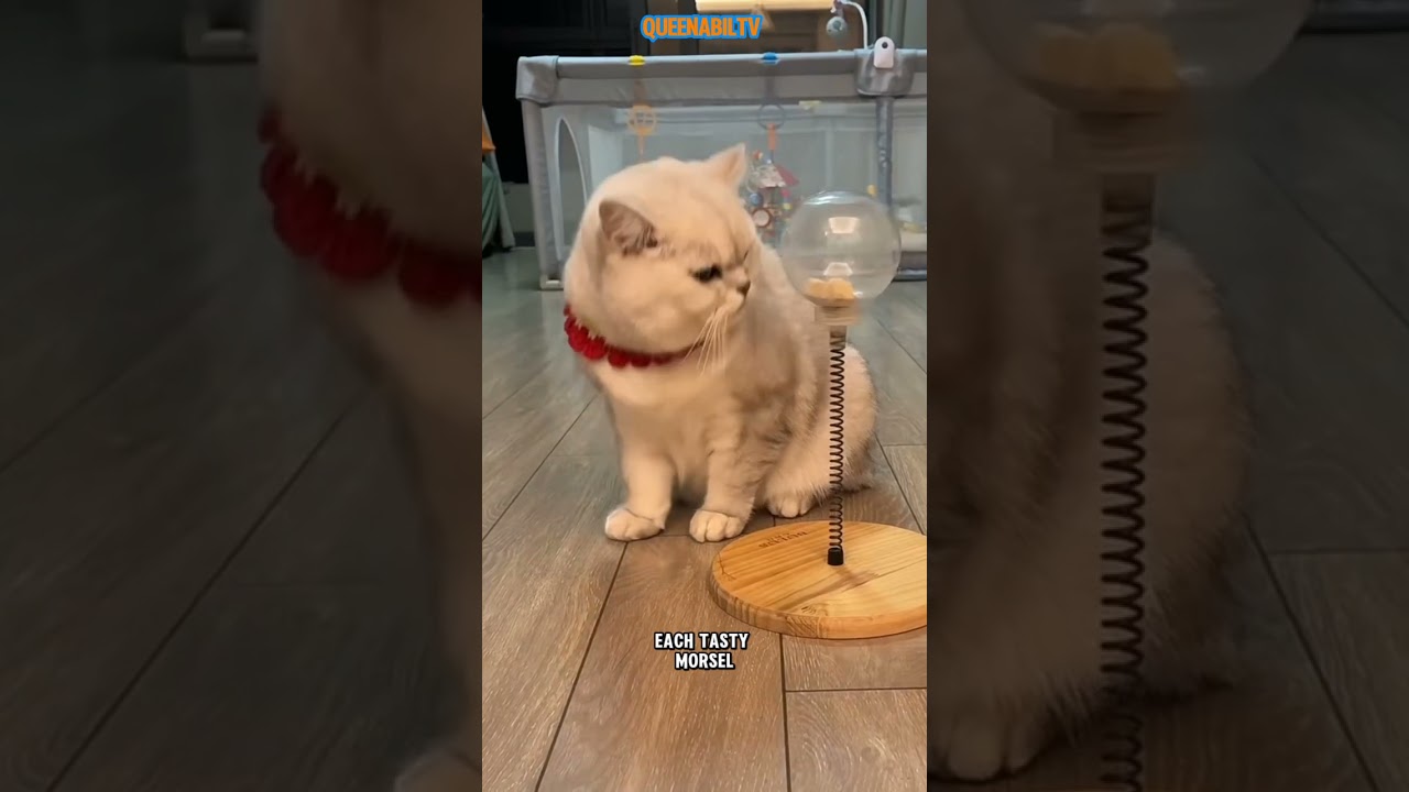 ** "Clever Kitty's Food Puzzle Adventure"**