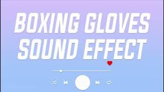 Boxing Gloves - Sound Effect Royalty fFree