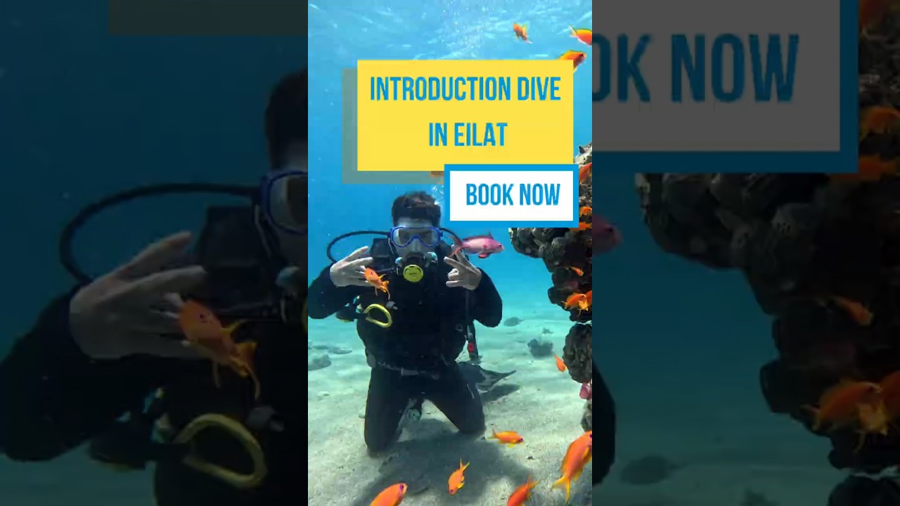 Diving in Eilat RedSea Israel 