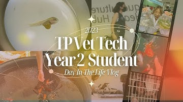 Day In The Life of a Year 2 Vet Tech Student 2023