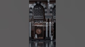 {أليس الله بكاف عبده} ♥️| القارئ مهند البشري