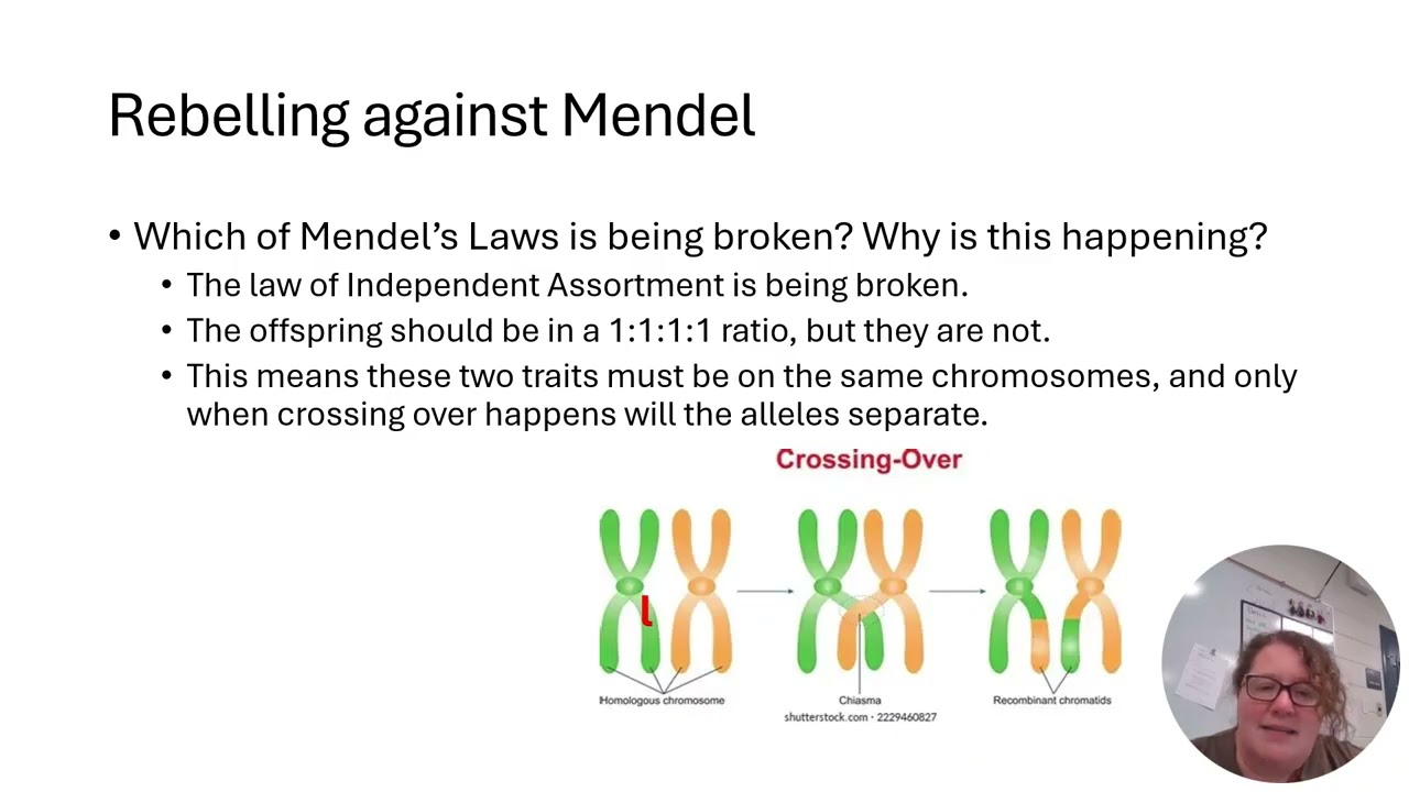 5 4 Non Mendelian Genetics
