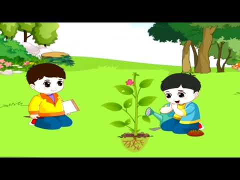 Video Giáo dục trẻ chăm sóc cây xanh (4-5 tuổi) - youtube