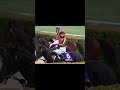 #大阪杯 #クロワデュノール #ダービー馬 #北村友 #競馬 #GIレース #競馬ニュース #競馬速報 #競馬予想 #中央競馬 #復活勝利 #直線勝負 #一番人気 #競馬ファン #馬券攻略