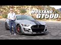 Mustang GT500 - Contacto en EEUU - Matías Antico - TN Autos