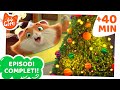 44 Gatti | 40 MINUTI di episodi completi | Racconti di Natale gattastici! ☃️🎁