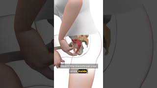 Menstrual Cup Insert, Remove, Done