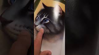 Ranking the cat pictures in the warriors ultimate guide