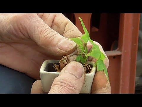 It's thinking like that that's what will break! - YouTube