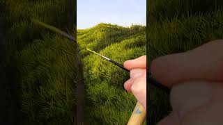 Grass Details