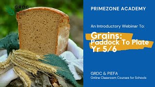 Introduction to Grains: Paddock To Plate Yrs 5 6
