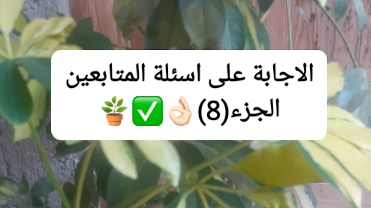 الاجابة على الاسئلة المتابعين/من سطح بيتي🪴✅👌🏻