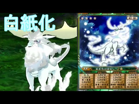 通常戦　ハクシカ　たぬキザけいすけのオレカバトル