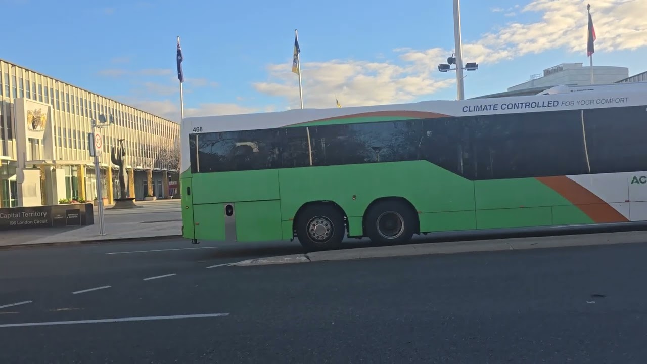 Commercial Pest Control Canberra Civic