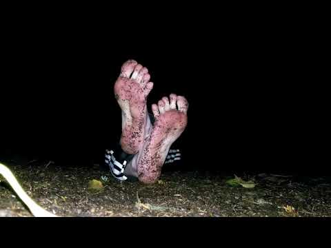 Dark Forest, Dirty Feet