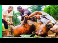 Cooking a WHOLE COW in 4 HOURS!! Vietnam Village Life!!! | Surviving Vietnam Part 5