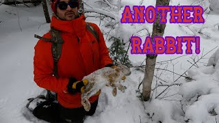 Day After SNOW STORM RABBIT SNARING! - Outdoors with Dave & Brent
