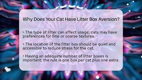 Why Does Your Cat Have Litter Box Aversion? - Happy Cat Handbook