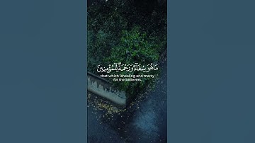 #CapCut #القران_الكريم_راحه_نفسية😍🕋 #quran_alkarim #القران_الكريم #تلاوة_خاشعة #المصحف #اكسبلور