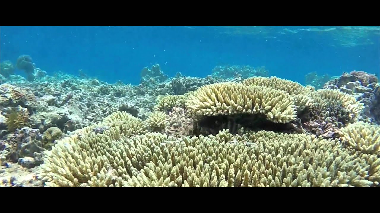 Le pirate Labuan Bajo