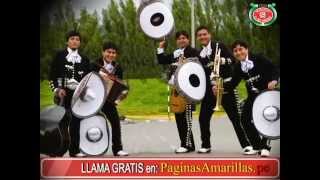 El Mil Amores - Mariachi El Mil Amores