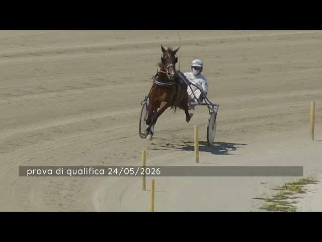 2026 05 24 | Metri 1600 | Prova di qualifica