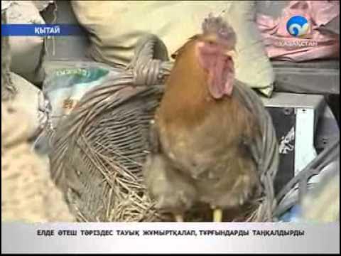 Брежневтің сперматозоидқа деген сенімі