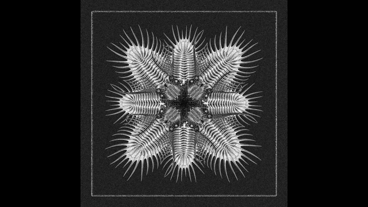 747 — Decades [AQR027] - YouTube