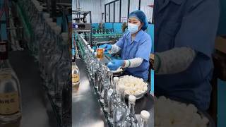 🏭 Inside the Factory LIVE — A Behind-the-Scenes Adventure