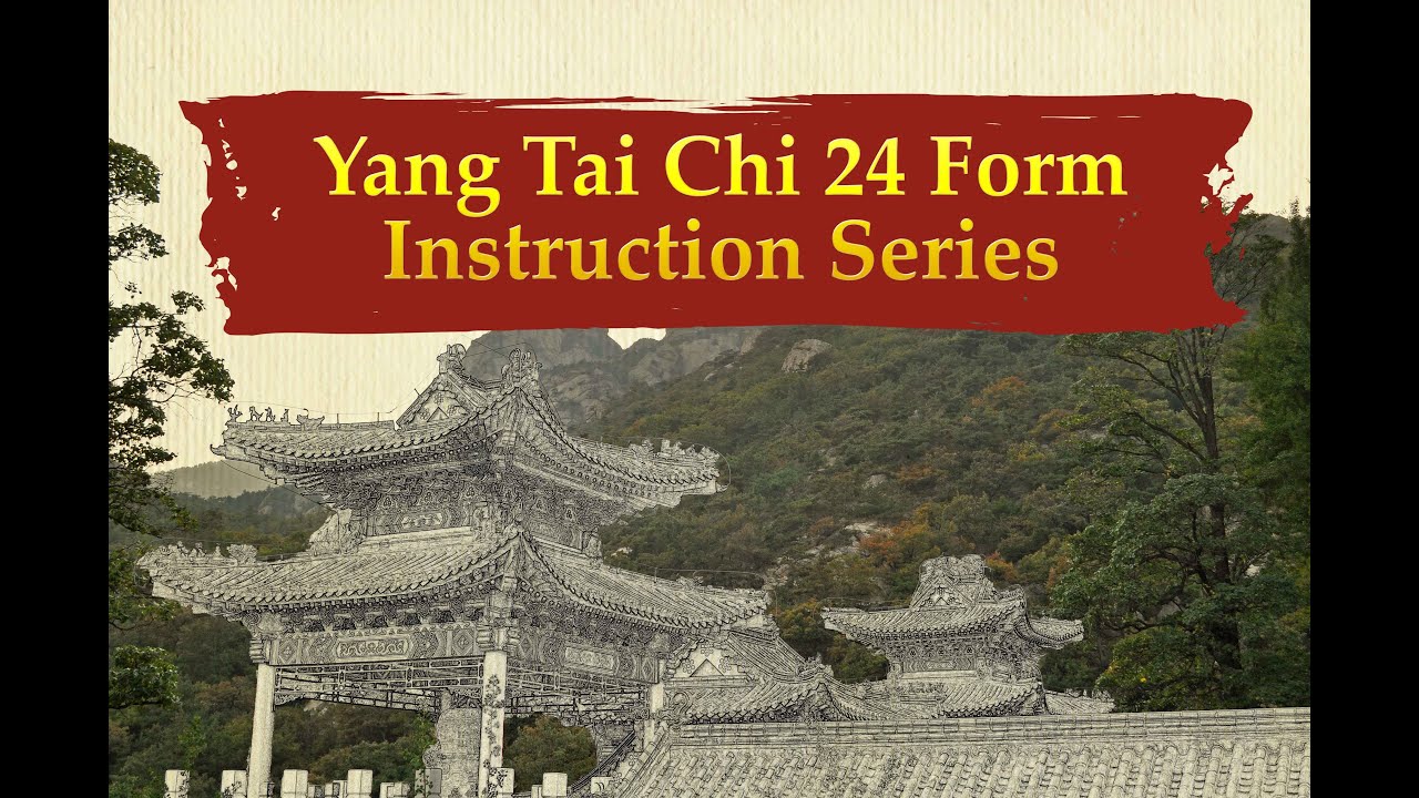(22 of 25) Yang Tai Chi 24 Form, Instructional Series: Turn Body, Parry, & Punch