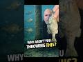 Bass Can’t Ignore This Bluegill Swimbait