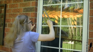 Stop Birds From Hitting Windows in Minutes With a Bar of Soap