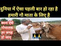 भारत में गाय के लिए ऐसा पहली बार//World largest gau tech expo 2023/@girgaujatan  #dairyfarming#cows