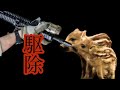 イノシシ・ウリ坊の駆除の現実【閲覧注意】