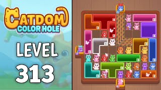 Catdom: Color hole Level 313 walkthrough solution 