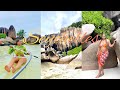 Vlog seychelles on a budget mes vacances  petit budget meilleure exprience airbnb