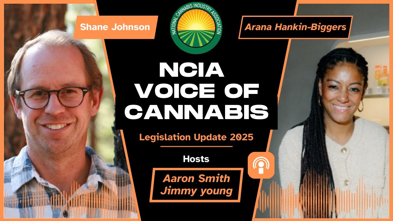 Big Pharma vs. Cannabis? NYC Dispensary Boom, Smarter Shoppers & Market Wars | NCIA Podcast
