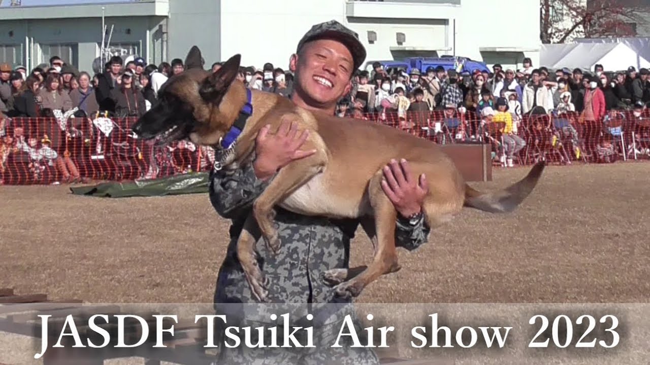 災害救助犬 ダンテ号 訓練展示 築城基地航空祭2023　@航空自衛隊築城基地
