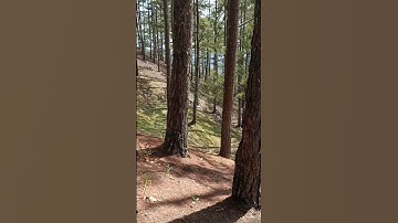 Biệt thự ma đèo prenn Đà Lạt, cà phê Trúc Vân. P2