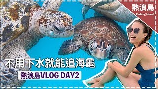 【馬來西亞熱浪島】海龜共遊不是夢! 肉眼就能看到海龜redang ... 