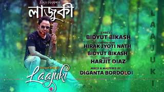 Lajuki Bidyut Bikash Amese Song 2019