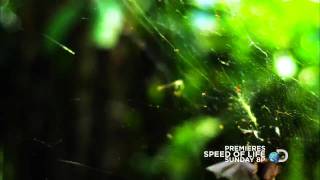 Скорость Жизни Speed Life 2010 - Тв ролик
