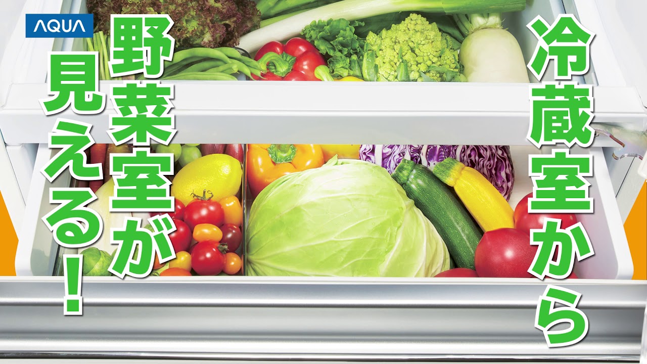 まる見え冷蔵室】買いすぎちゃった野菜も使い切る!コンパクトなのに 