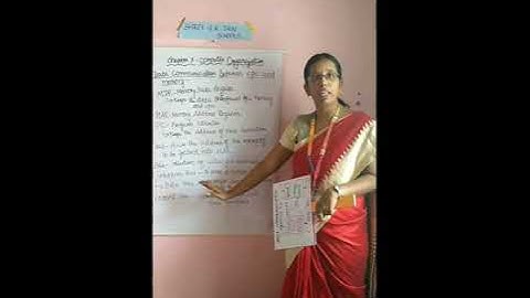 Computer Organization part 2 -11th std chapter 3 by Mrs.Monica