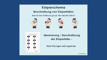 Was gehört zum Körperschema?