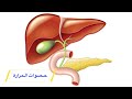 الحصوات المرارية الأعراض وطرق العلاج