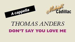 THOMAS ANDERS Don&#39;t Say You Love Me (A cappella)