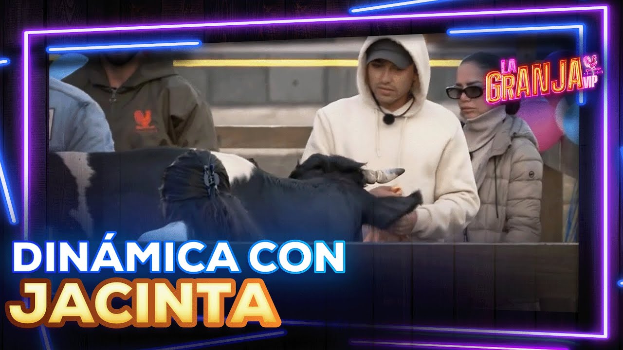 ¿Dinosaurio o becerro? La LOCA dinámica con la panza de Jacinta 🐮